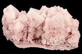Pink Halite Crystal Plate - Trona, California #94046-1